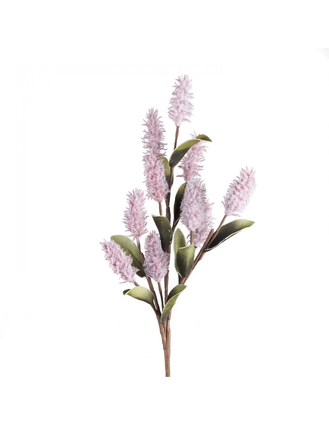 PINK MULLA MULLA COD.1P215