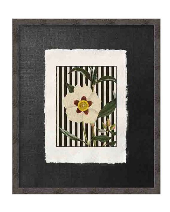 BUBOLA & NAIBO QUADRO 50X60